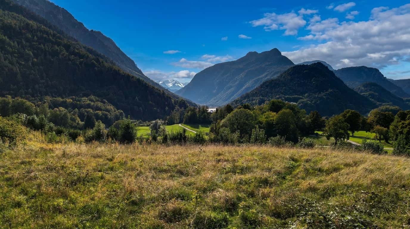 Wohnen kaufen in Bayerisch Gmain — Blick vom Grundstück (unverbaubar!)